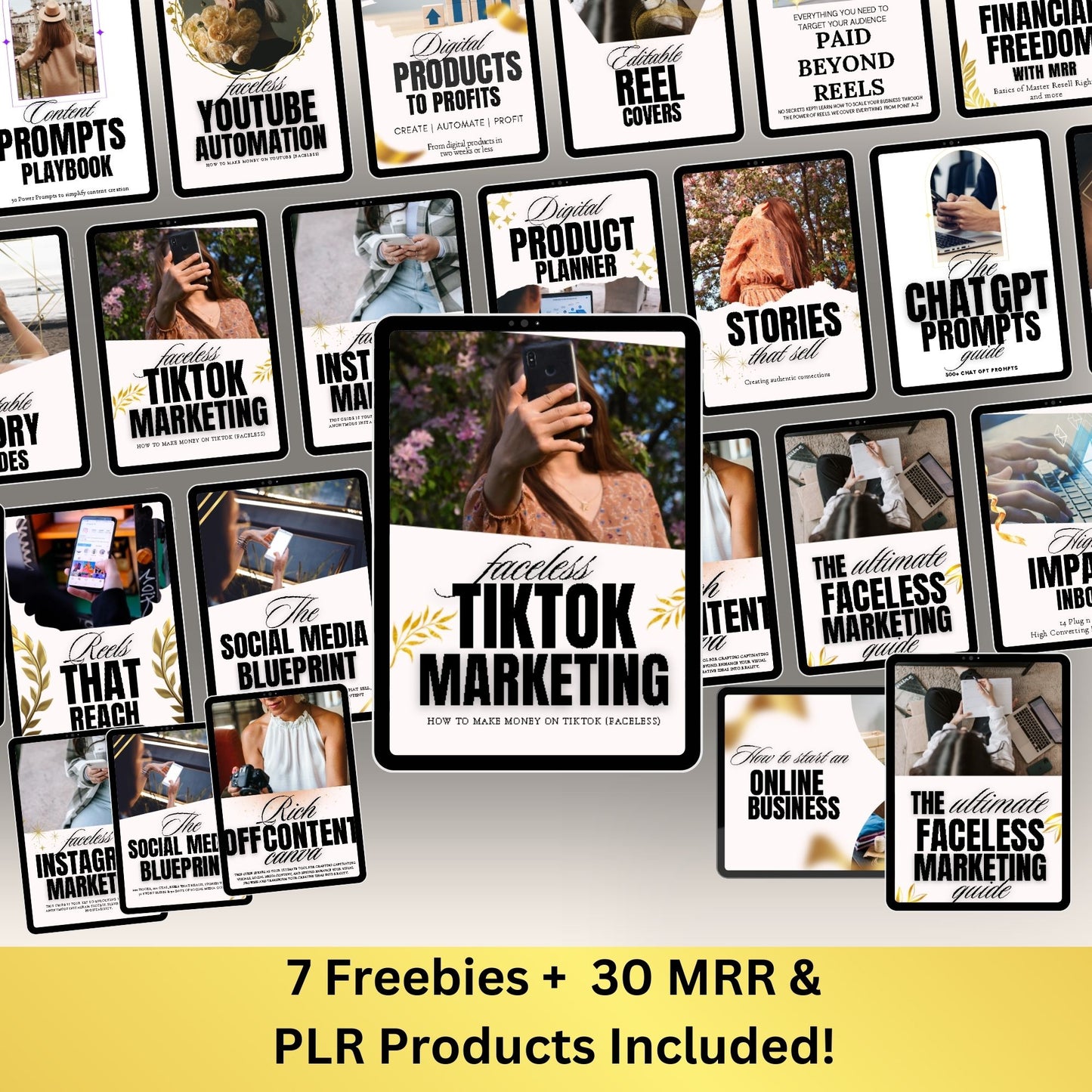 PLR Ebooks Faceless Marketing Complete Digital Bundle with Master Resell Rights