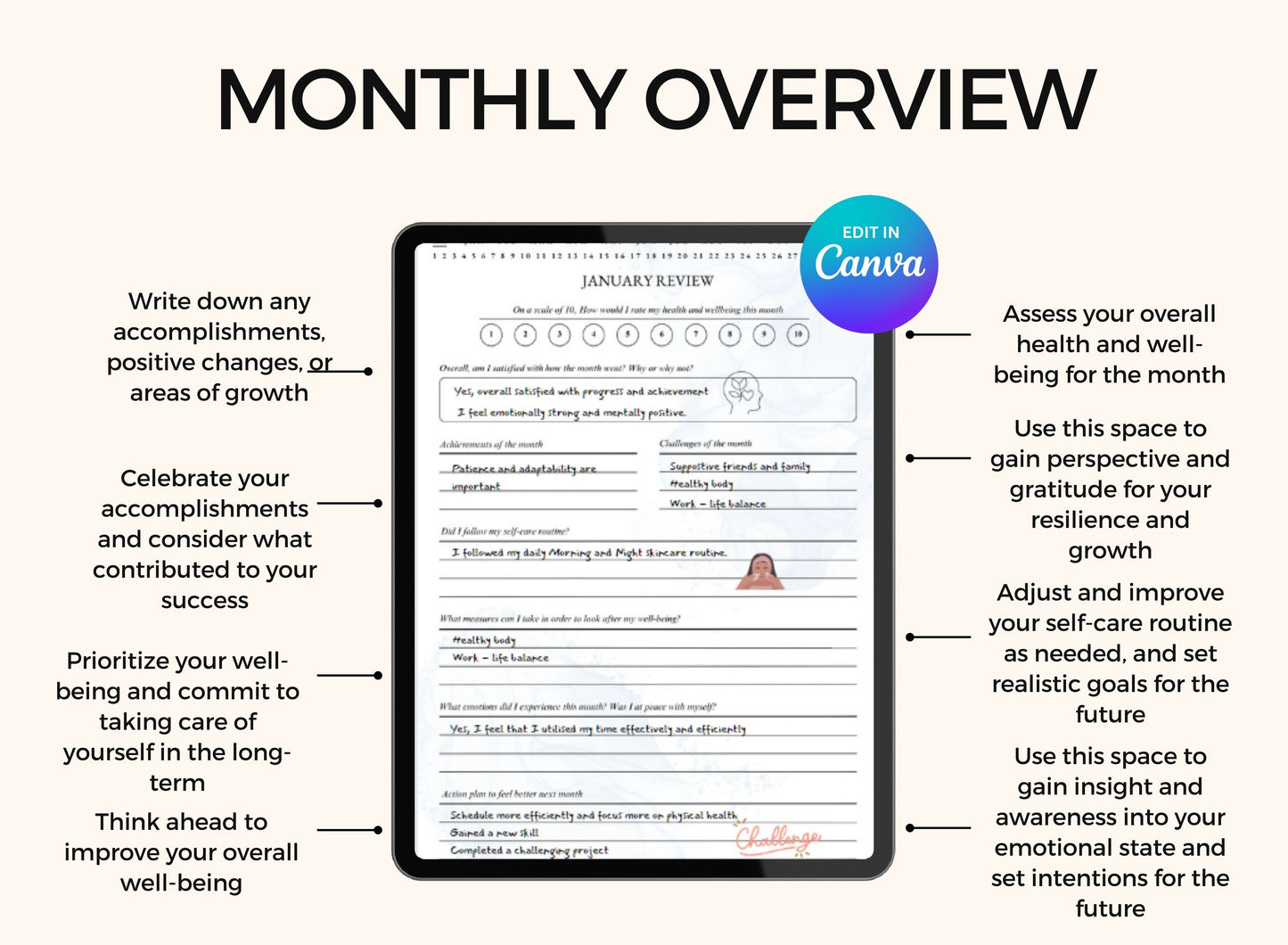 Wellness Mental Health Planner with MRR Rights