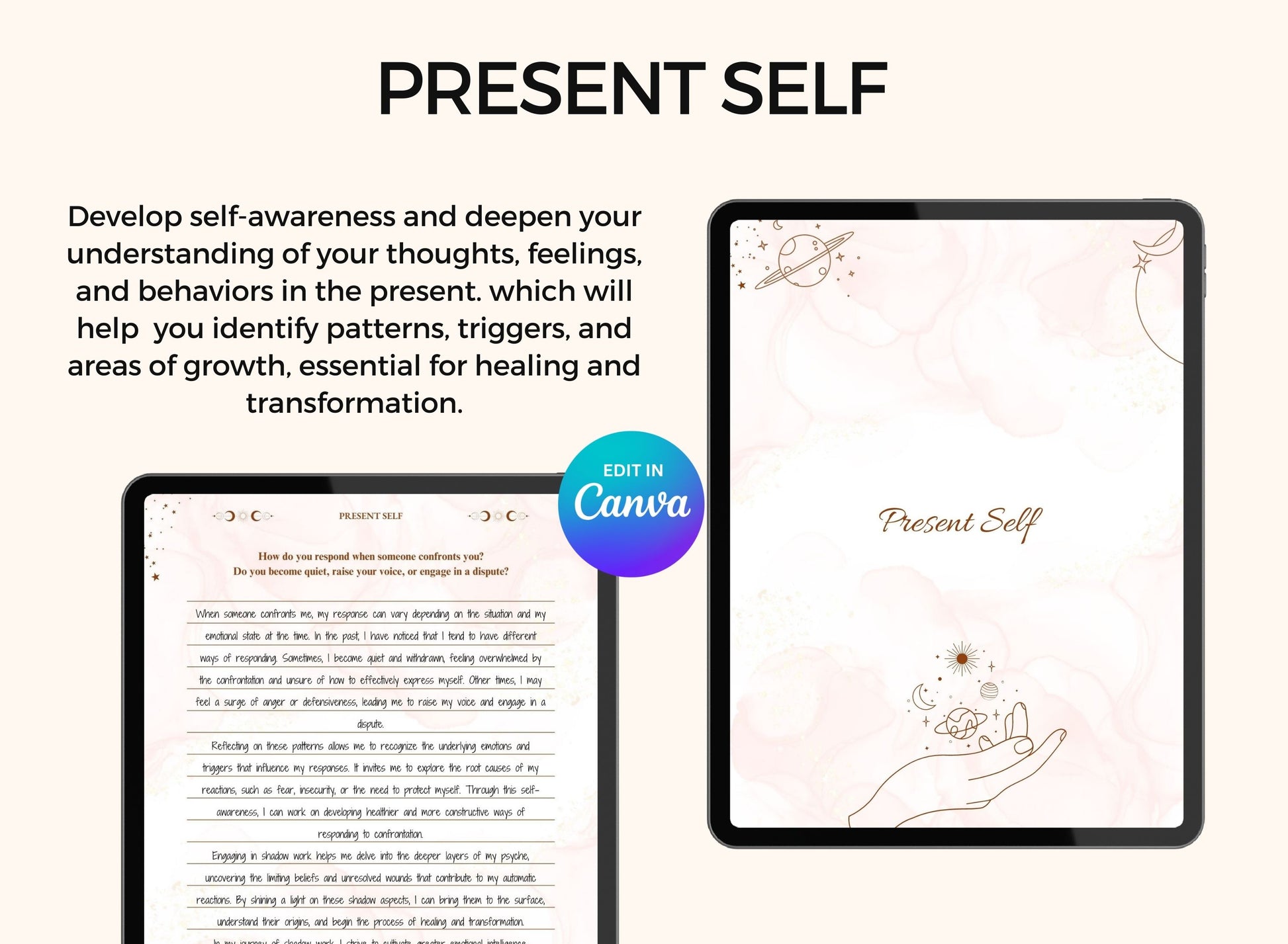 Plr Canva, PLR Bundle, PLR 2024 Planner, PLR, Mental Health PLR, Hyperlinked Journal PLR Journal Canva Editable Commercial Use Resell Rights