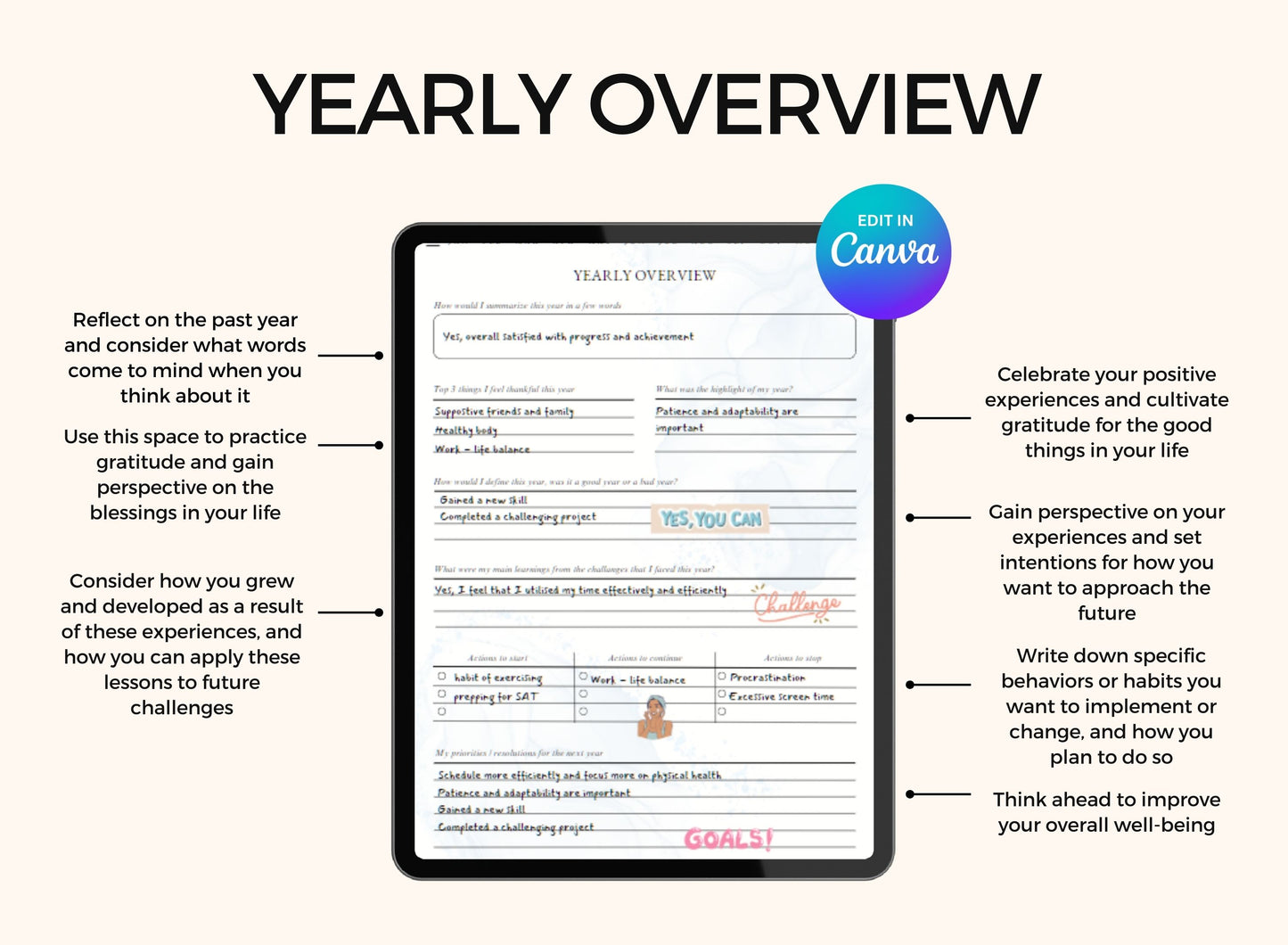 Wellness Mental Health Planner with MRR Rights