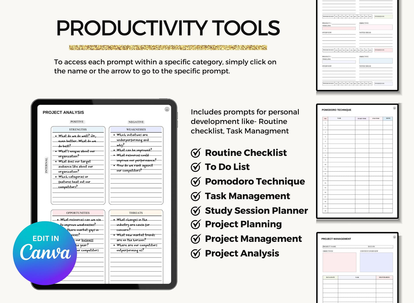 PLR Resell Productivity Planner