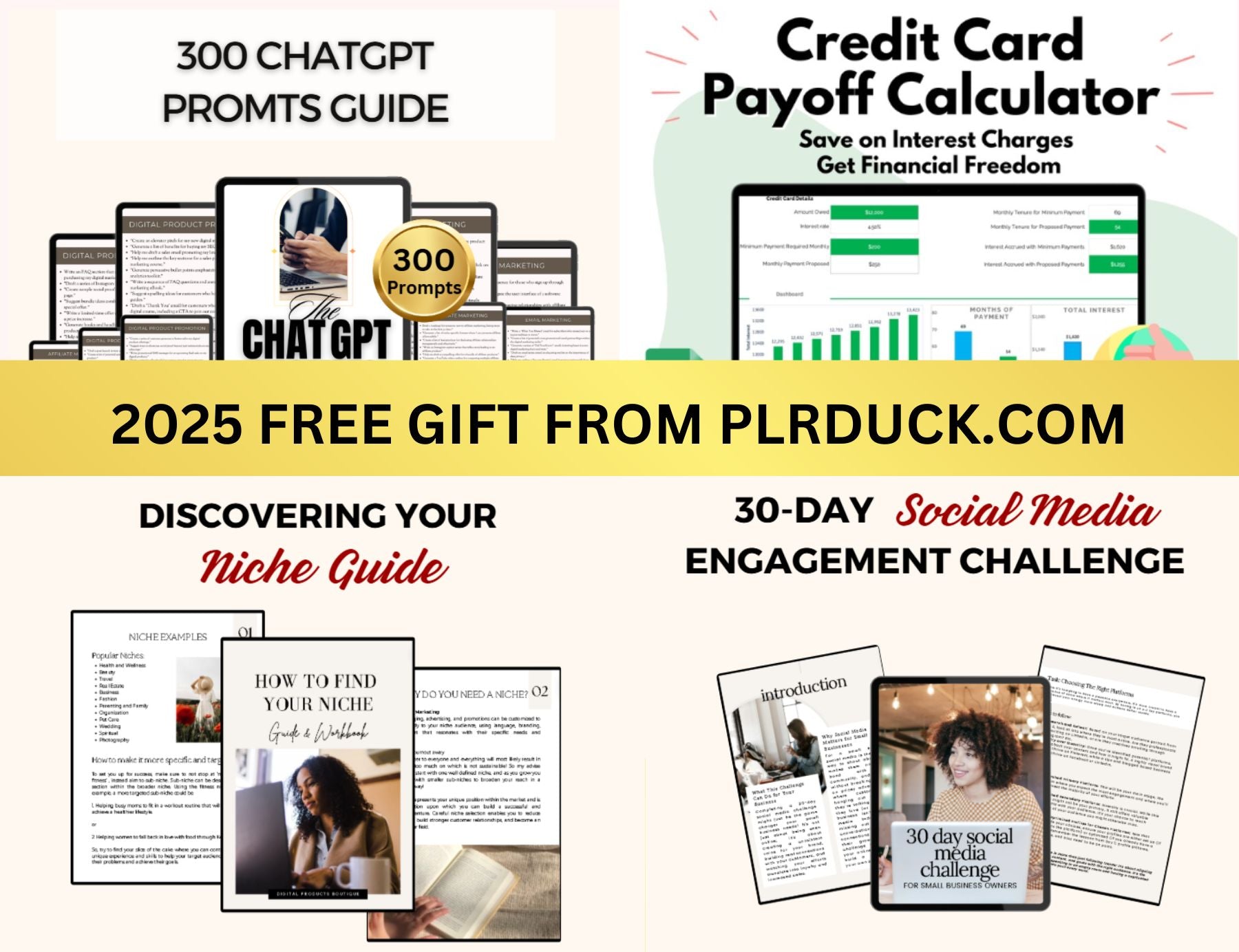 plr product, digital product, free gift
